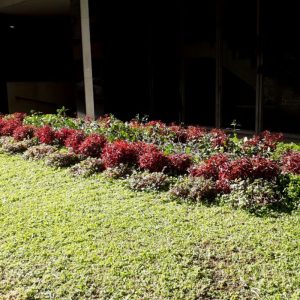 Diseño sin título (53)