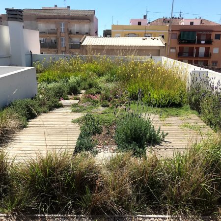 Jardin Vertical y Techos Verdes – Bonna Paisajismo